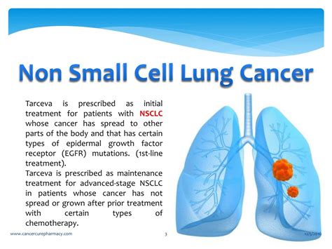 NON-SMALL CELL LUNG CANCER TREATMENT …