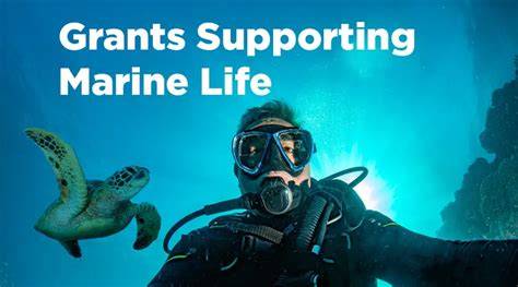 Nonprofit Grants for Marine Conservation | Inside Philanthropy - raincitystudios.com