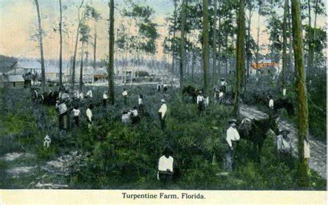 North Carolina and the Turpentine Trail - Coastal Review - raincitystudios.com