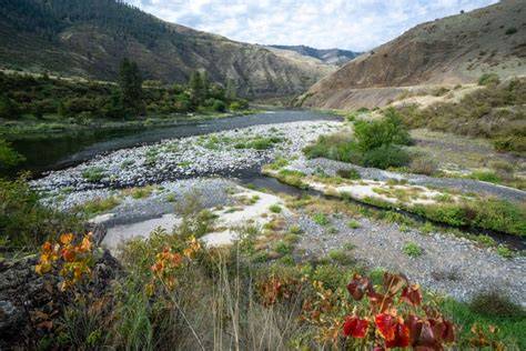 North Fork Salmon River Habitat Restoration | Upper Salmon Basin ... - raincitystudios.com