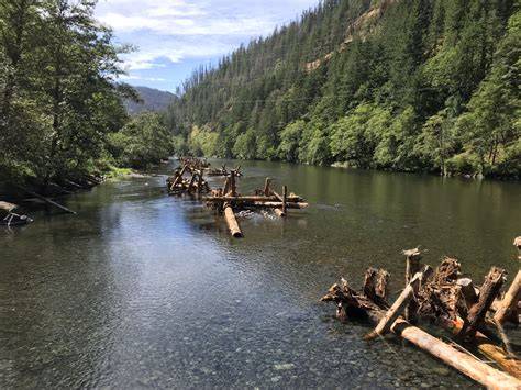 North Fork Salmon River Habitat Restoration Thomas Property - raincitystudios.com