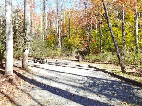 NORTH MILLS RIVER CAMPGROUND (CAROLINA DO NORTE): 29 …