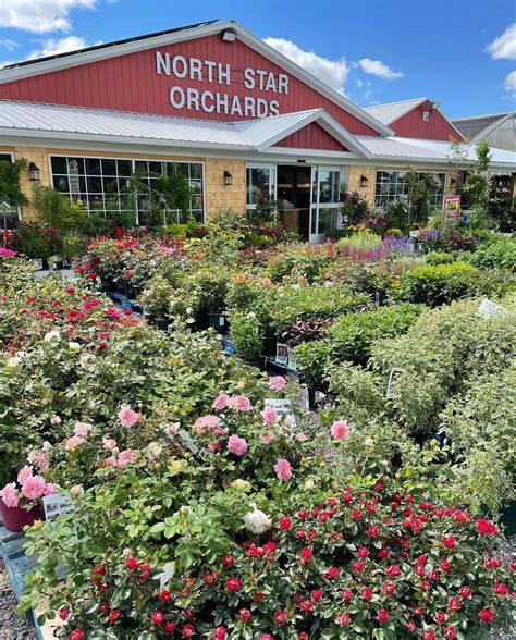 North Star Orchards - raincitystudios.com