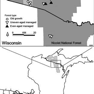 Northern Hardwood Management in Michigan - raincitystudios.com