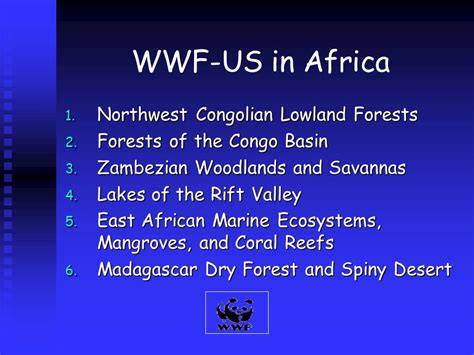 Northwest Congolian Lowland Forests | One Earth - raincitystudios.com