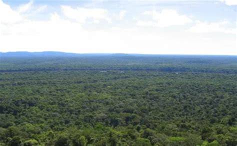 Norway releases $9.1 Billion to Guyana under Forest … - raincitystudios.com