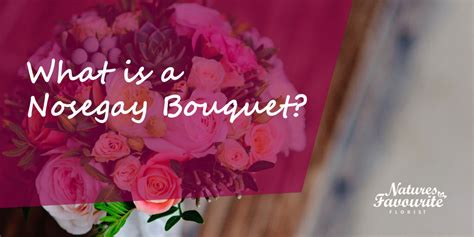 NOSEGAY Definition & Meaning