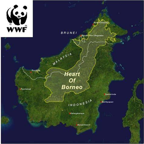 NOTES FROM WWF HEART OF BORNEO LEADER - raincitystudios.com