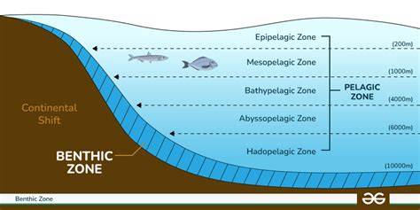 Notes on Pelagic Zone - Unacademy - raincitystudios.com