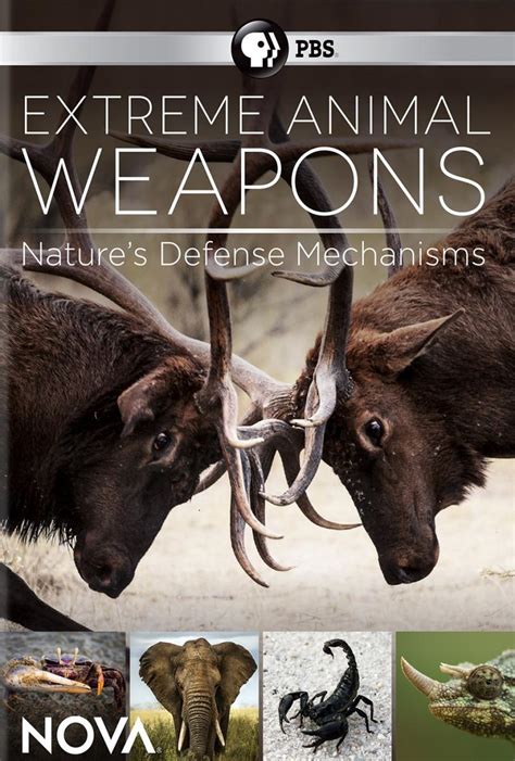 NOVA: Extreme Animal Weapons
