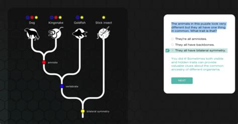 NOVA Flashcards Quizlet