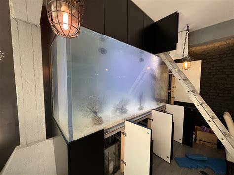 Nowy zbiornik morski + sump - pomoc w założeniu - raincitystudios.com