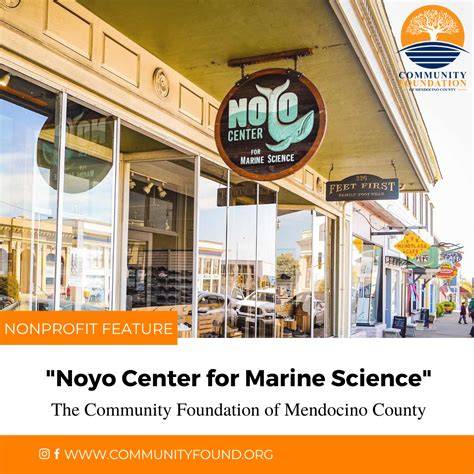 Noyo Center for Marine Science - raincitystudios.com