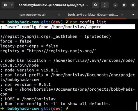 NPM SET PROXY CONFIG LINK ALTERNATIF PROSES CEPAT PASTI