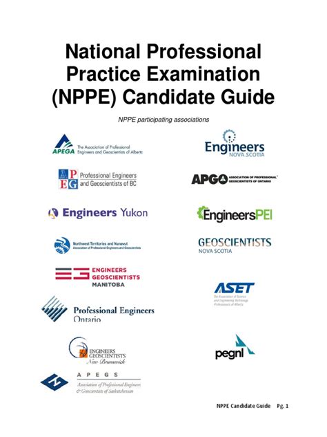 NPPE Testing Engine.pdf