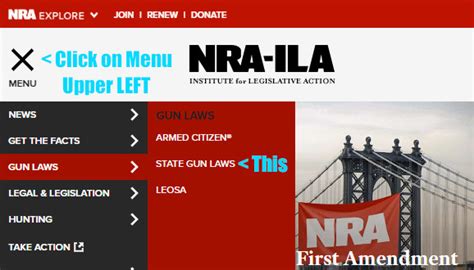 NRA-ILA New York Gun Laws - SUMMARY OF STATE GUN LAWS