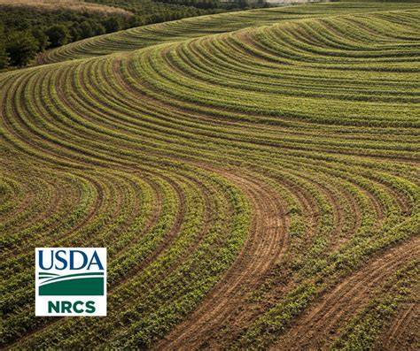 NRCS CONSERVATION PRACTICE EFFECTS - NETWORK DIAGRAM - raincitystudios.com