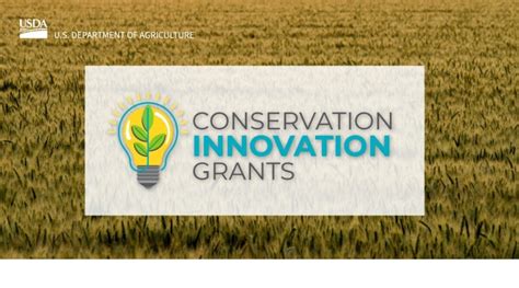 NRCS Conservation Innovation Grants for FY 2024 Grant Bulletin