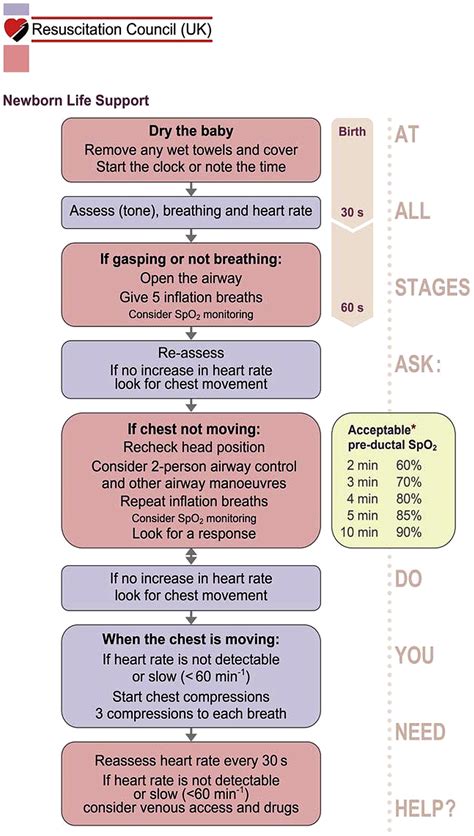 NRP algorithm Pocket Obstetrics and Gynecology
