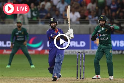 NSCI Cricket APK Download for Android 