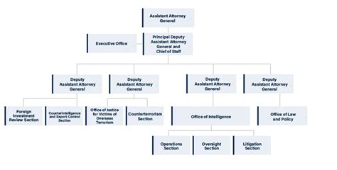 NSD Organizational Chart