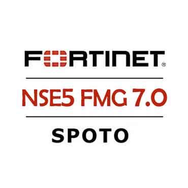 NSE5_FMG-7.2 German