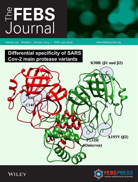 nsojournals.onlinelibrary.wiley.com - muktibox.com