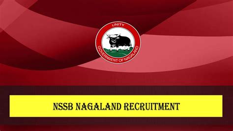 NSSB Recruitment 2024 » Apply Online Group C 600 Post