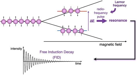 Nuclear Magnetic Resonance (NMR) - ISU Sites - wintechmobiles.com