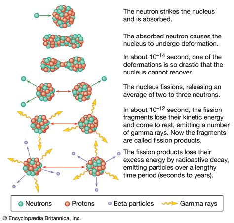 Nuclear Physics: Fission, Fusion, Radioactive Decay & Atomic - wintechmobiles.com