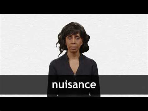 NUISANCE English meaning - Cambridge Dictionary