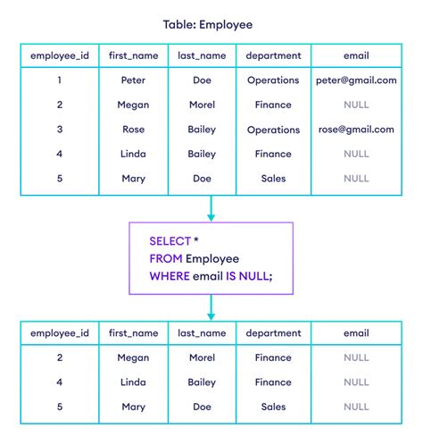 Null & Alternative Hypotheses | Definitions, Templates … - coolestguyplanet.net