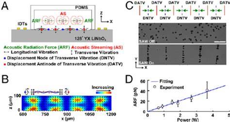 Numerical study of underwater acoustic radiation and propagation ... - raincitystudios.com