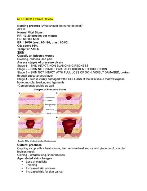 NURS 6011 - School Nursing - StuDocu