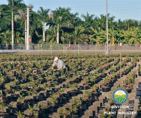 Nursery and Stock Dealer Registration / Plants and Nurseries ... - raincitystudios.com