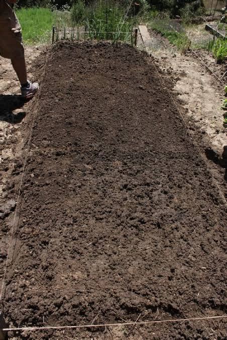 Nursery Bed Preparation and Sowing Guide - raincitystudios.com