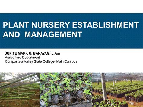 Nursery Establishment and Management Guide | PDF - raincitystudios.com