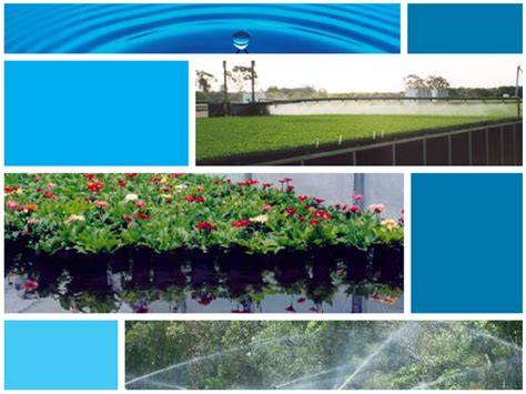 Nursery Industry Water Management Best Practice Guidelines - raincitystudios.com