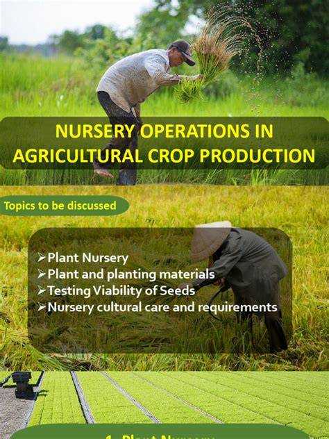 Nursery Operations for Crop Production - raincitystudios.com