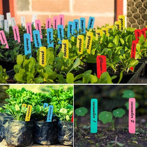 Nursery Plant Tags - Growing Our Retirement - raincitystudios.com