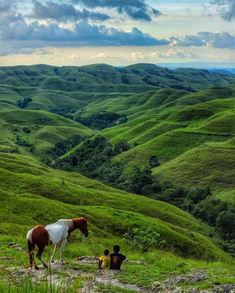nusa Tenggara Timur memiliki sabana luas. sementar... - Roboguru - raincitystudios.com