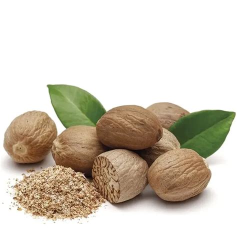 Nutmeg - The Dutch Monopoly in the Maluku Islands on … - wintechmobiles.com