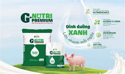 Nutriculture Gro Tank NFT System 2.1m | A-Grade Hydroponics - raincitystudios.com