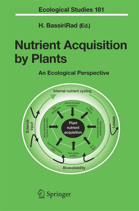 Nutrient Acquisition by Plants | Organismal Biology - raincitystudios.com