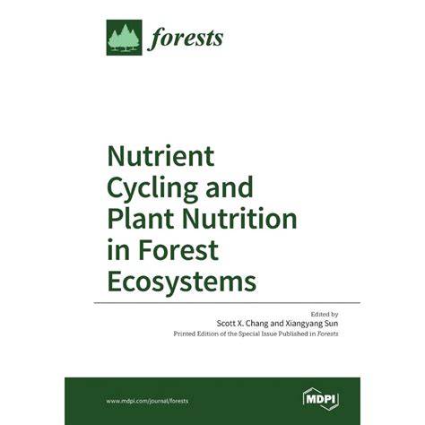 Nutrient Cycling and Plant Nutrition in Forest Ecosystems - raincitystudios.com