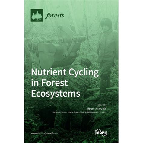 Nutrient Cycling in Forest Ecosystems | MDPI Books - raincitystudios.com