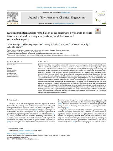 Nutrient pollution and its remediation using constructed wetlands ... - raincitystudios.com