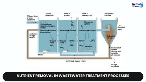 Nutrient Removal: Wastewater Treatment Explained - raincitystudios.com