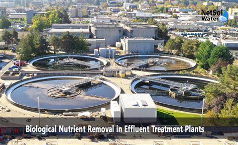 Nutrient Removal by Algae-Based Wastewater Treatment - Springer - raincitystudios.com