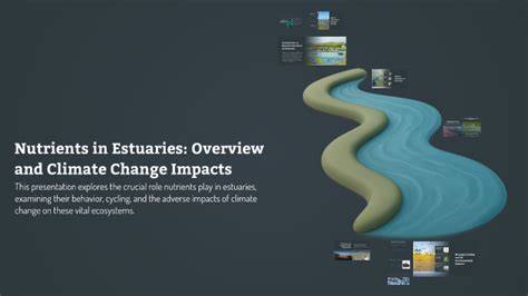 Nutrients in estuaries — An overview and the potential impacts of ... - raincitystudios.com
